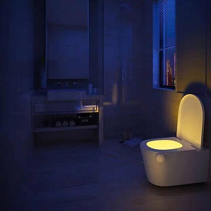The Emotional Glow: Forging an Emotional Connection with Toilet Lights